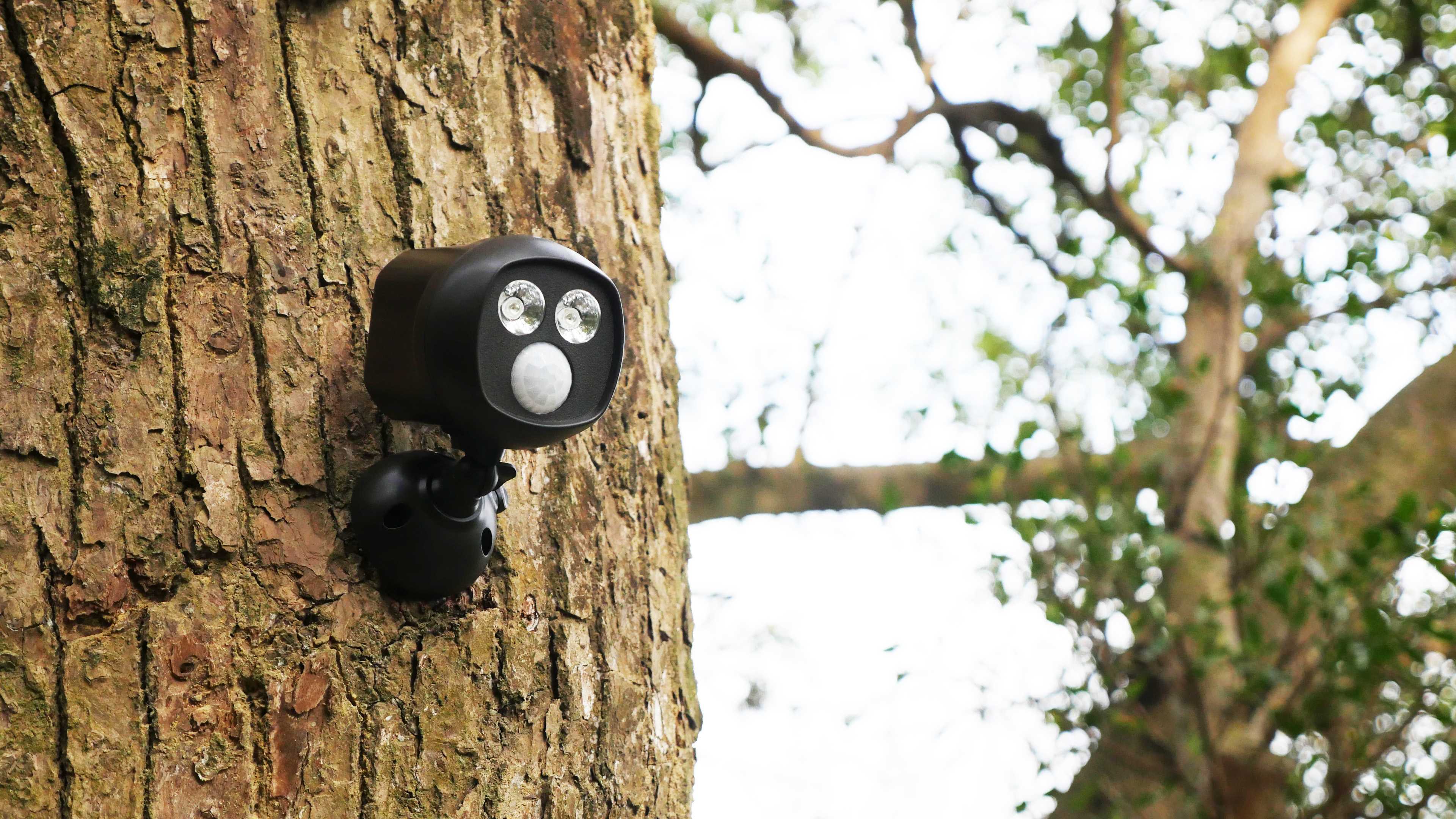 A small black motion-sensor device with two lenses and a sensor, mounted on a tree trunk with blurred green foliage in the background
